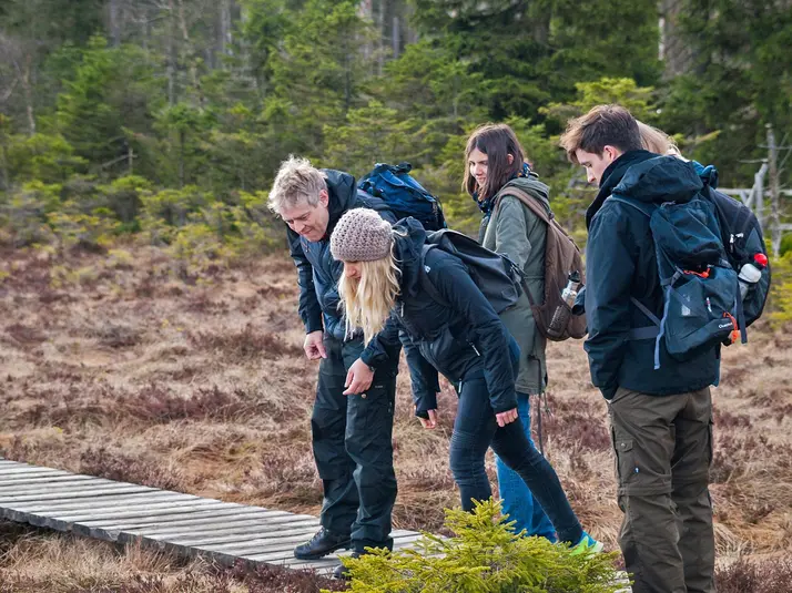Wilde Tiere – Wilder Wald – Was kreucht und fleucht im Nationalpark Harz?
