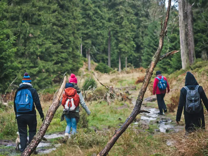Das Grüne Band – die ehemalige innerdeutsche Grenze erleben